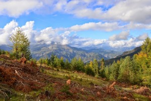 Azur Mercantour Nature - Ecotourisme dans la Vallée Verte