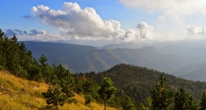 Azur Mercantour Nature - Événements 2017