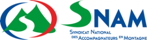 logo snam